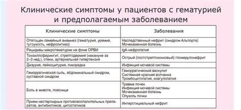 Заболевания мочеполовой системы как причина появления красной мочи у кошек