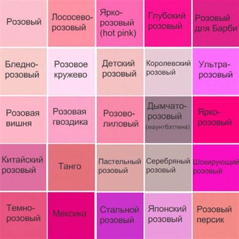 Загадочный и символичный оттенок: интересные факты о нежно-розовом спектре