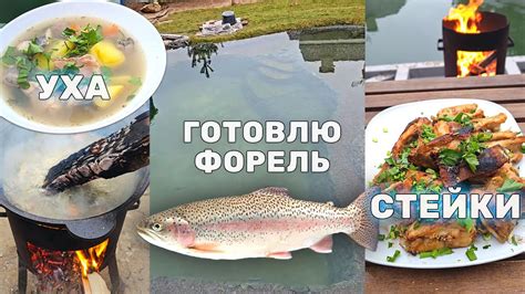 Загаровка и жарка:
