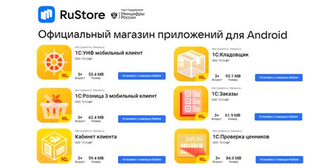 Загрузка и установка приложения для работы с интеллектуальной системой