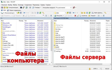 Загрузка файлов на поддомен: использование FTP