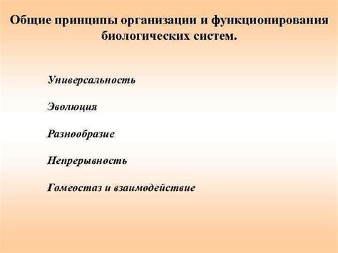 Закономерности и принципы функционирования организма: гармония и взаимодействие