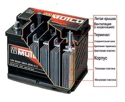 Зарядка осла и его использование