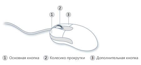 Зачем активна подсветка при использовании компьютерной мыши?