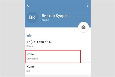 Зачем важно сохранять конфиденциальность своего ника в Телеграме: ключевые мотивы