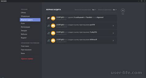 Зачем необходим журнал аудита и что он представляет собой в Discord?