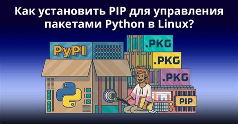 Зачем нужно установить pip: облегчение управления пакетами Python