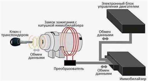 Защита автомобиля: роль и принцип работы иммобилайзера