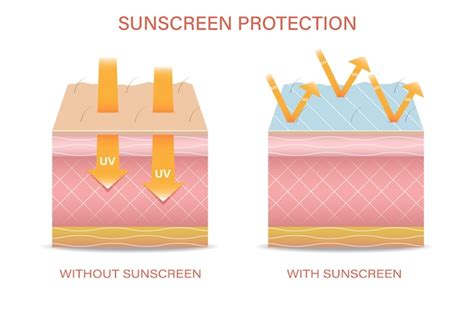 Защита кожи от негативного воздействия ультрафиолетового излучения