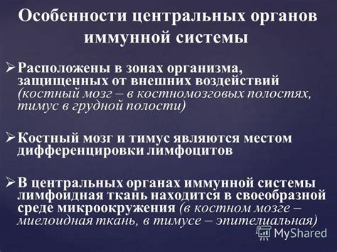 Защита организма от внешних воздействий: роль иммунной системы