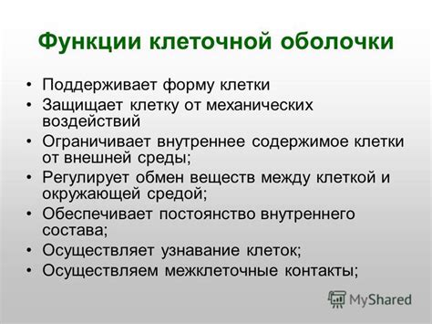 Защитные функции lipid-барьера клеточной оболочки