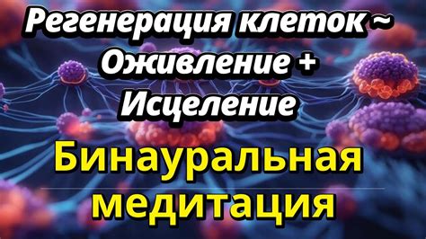 Здоровая регенерация: укрепление психосоматического равновесия