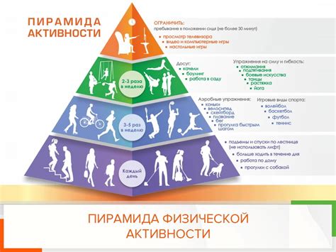 Здоровое питание, физическая активность и управление стрессом