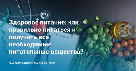 Здоровое питание в Майнкрафте: как получить все необходимые пищевые вещества