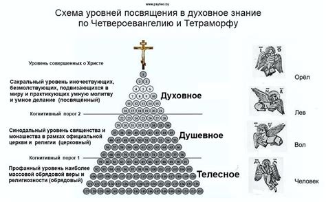 Знание правил и иерархии