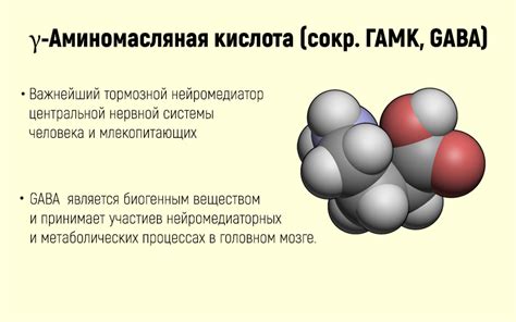 Значение гамма-аминомасляной кислоты (ГАМК) для функционирования мыслительной деятельности