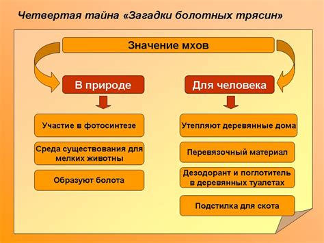 Значение и роль БИК в финансовой системе