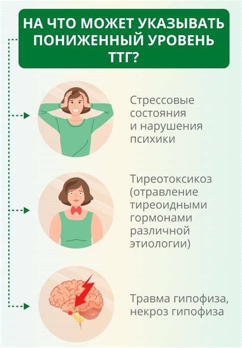 Значение и роль тиреотропного гормона в организме женщины