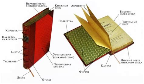 Значение оформления и формата книги в сфере издательства