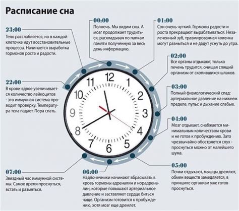 Значимость адекватного отдыха и нормализации сна для поддержания здоровья кожи