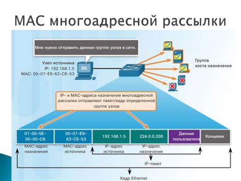 Значимость импеданса в сетях Ethernet