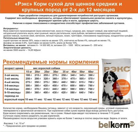 Значимость качественного корма для подрастающего щенка