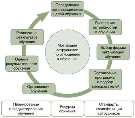 Значимость обучения персонала по настройке и подгонке доильного механизма