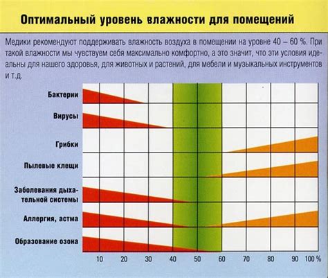 Значимость поддержания оптимальной влажности в помещении для здоровья растений
