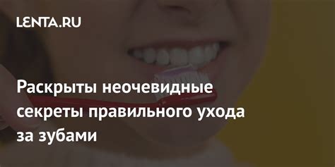 Значимость правильного ухода за наушами