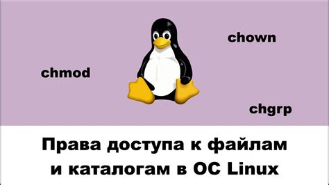 Значимость прав доступа в операционной системе Linux и их роль