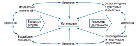 Значимость синхронизации рица и ее влияние на организацию