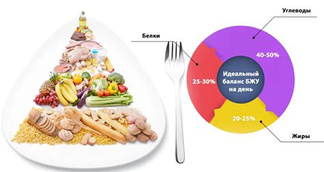 Значимость содержания белков, жиров и углеводов в составе продукта