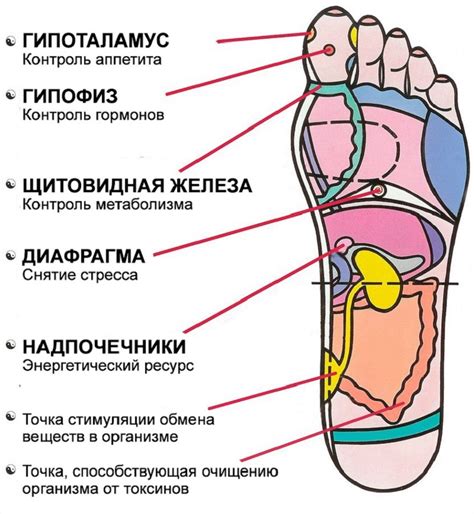 Значимость среднего пальца на левой стопе для поддержания правильной постановки ноги