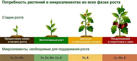 Значимость удобрений для растений гибискусовой семьи