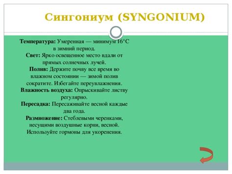 Избегайте прямых солнечных лучей во время пика активности