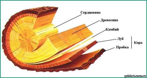 Изготовление ветвей и ствола из дерева