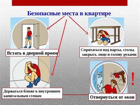 Изменение поведения во время игр и привычек: что происходит с котом в зрелом возрасте