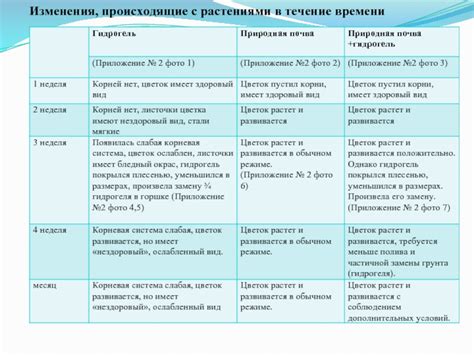 Изменения, происходящие с организмом в течение 72 часов