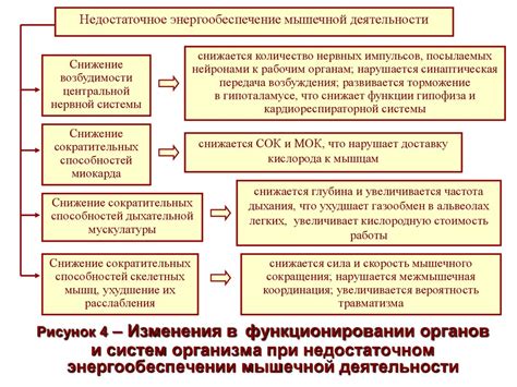 Изменения в функционировании систем выведения и размножения