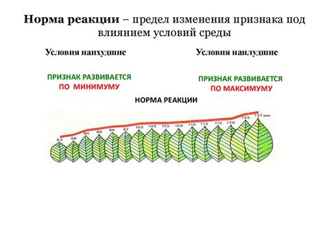 Изменения настроения под влиянием гормональных флуктуаций