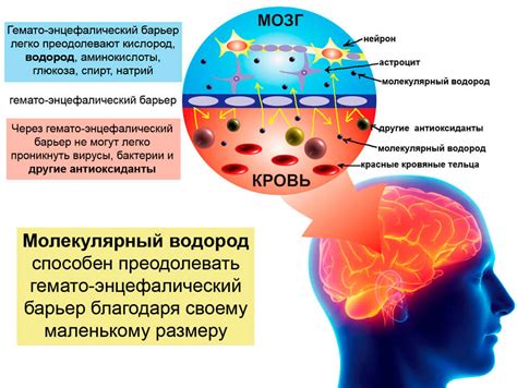 Изменения температуры: воздействие на кровообращение и нервную систему