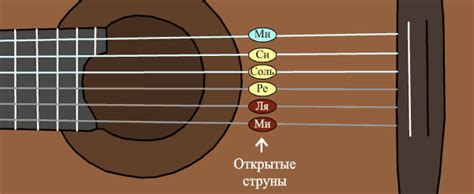 Изучение и определение октавы гитарных струн