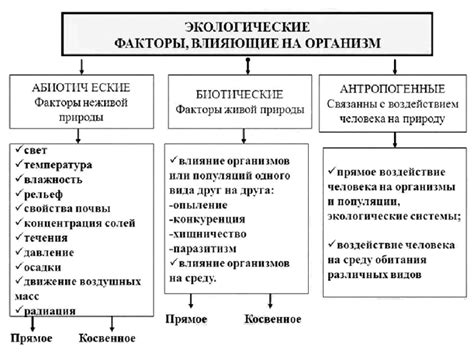 Изучение окружающей среды и анализ перспективных вариантов