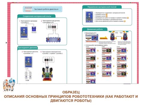 Изучение основных принципов робототехники