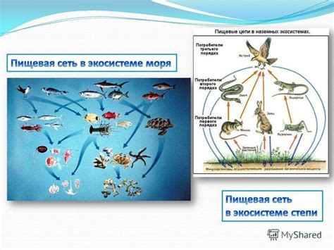 Изысканные методы генерации призрачного свечения в экосистеме террариума