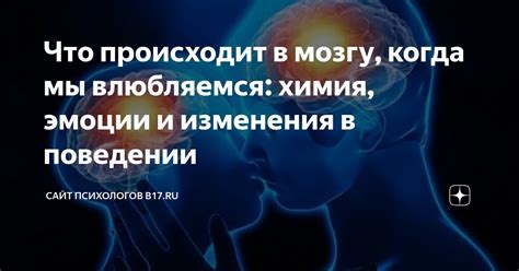 Инсайты о состоянии влюбленности: каковы процессы, происходящие в нашем мозгу, когда мы испытываем сильные чувства?