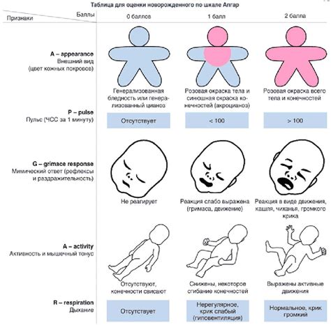 Интерпретация результатов оценки состояния новорожденного по шкале Апгар