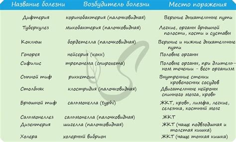 Инфекционные и вирусные патологии: возбудители и их воздействие на пищеварительную систему