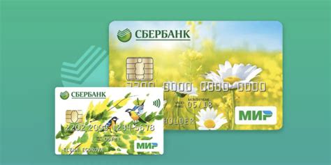 Информация о платежах через приложение Сбербанк Мир