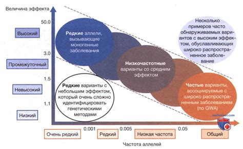 Искусный подход к разрешению широко распространенных сложностей при конфигурировании юямы